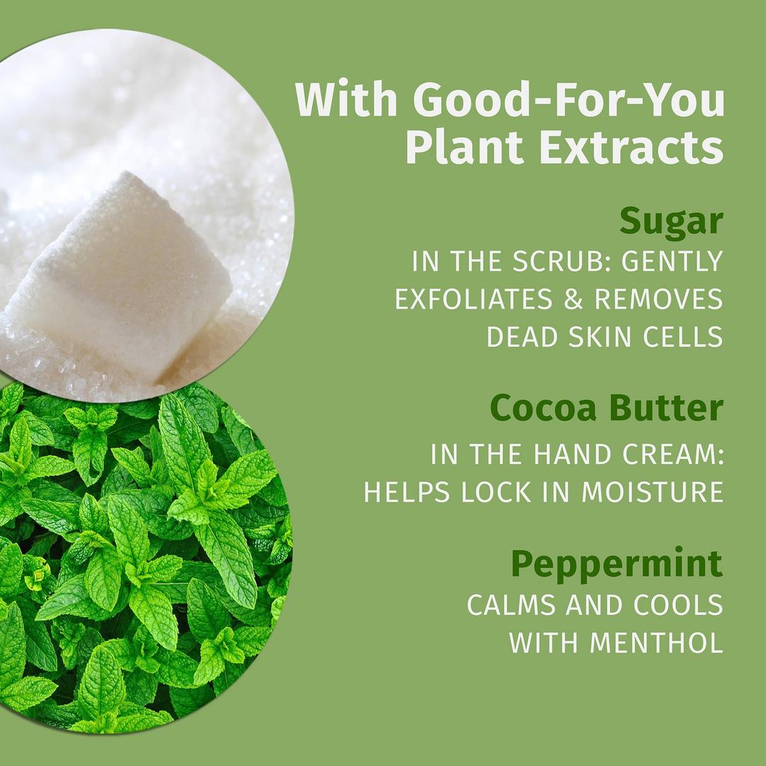 Hempz Holiday Delights Mini Moisturizer, Scrub & Lip Balm Gift Set