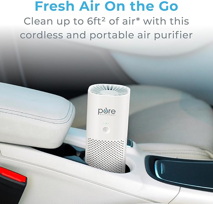 Pure Enrichment PureZone Mini Portable Air Purifier