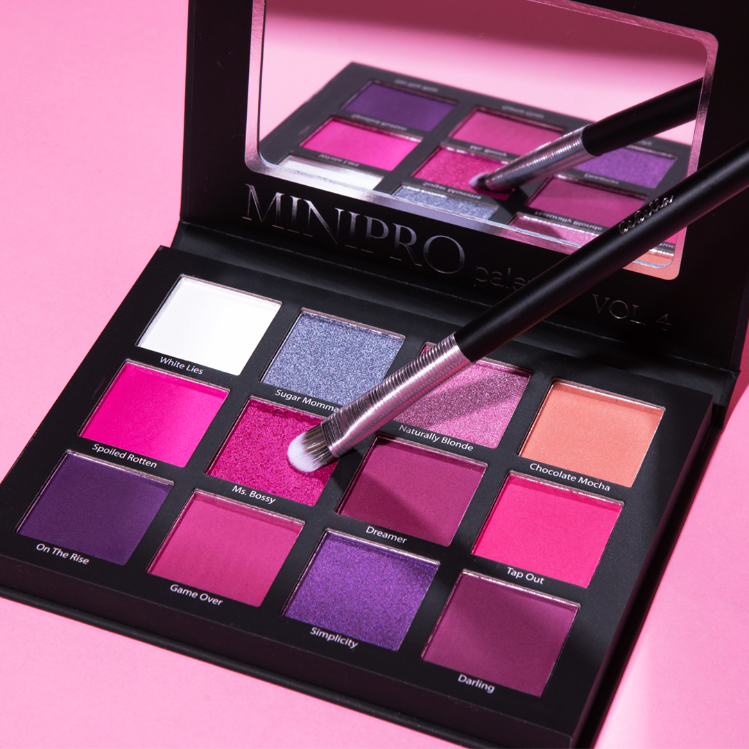 MINI PRO VOL.4 Palette