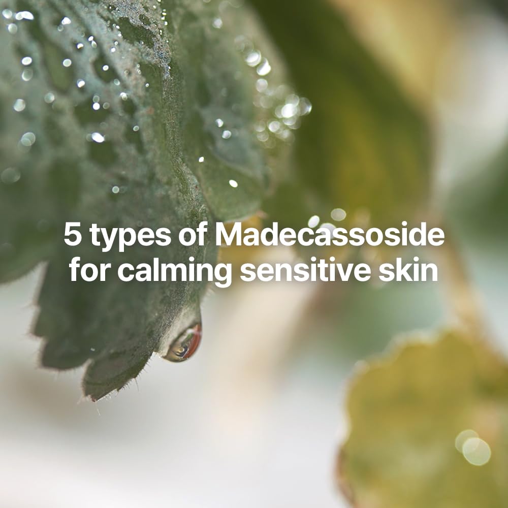 Pyunkang Yul Calming Skincare Gift Set with Premium Gift Wrapping